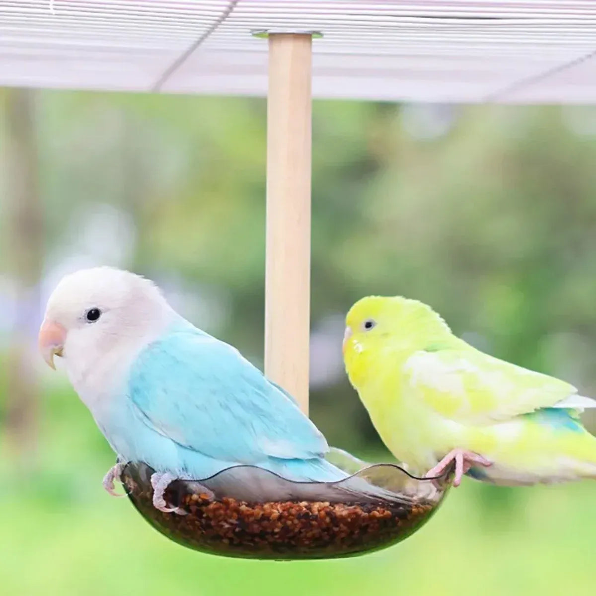 Baby Beaks Little Nibbles Feeding Station 🐣💕 | Bird Food Bowl & Wooden Perch