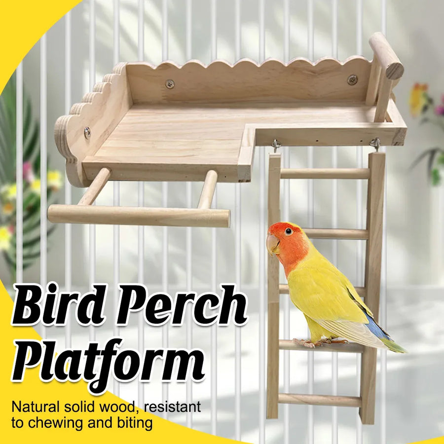 Birdie Wooden Climbing Ladder & Resting Platform – Natural Bird Playground 🐣💕
