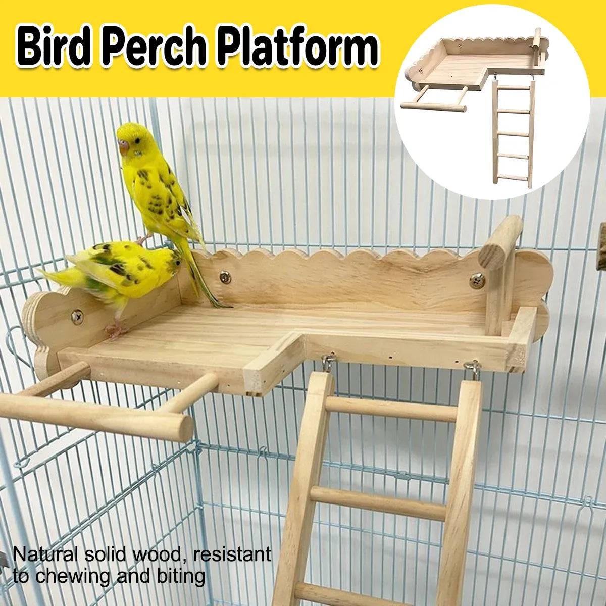 Birdie Wooden Climbing Ladder & Resting Platform – Natural Bird Playground 🐣💕
