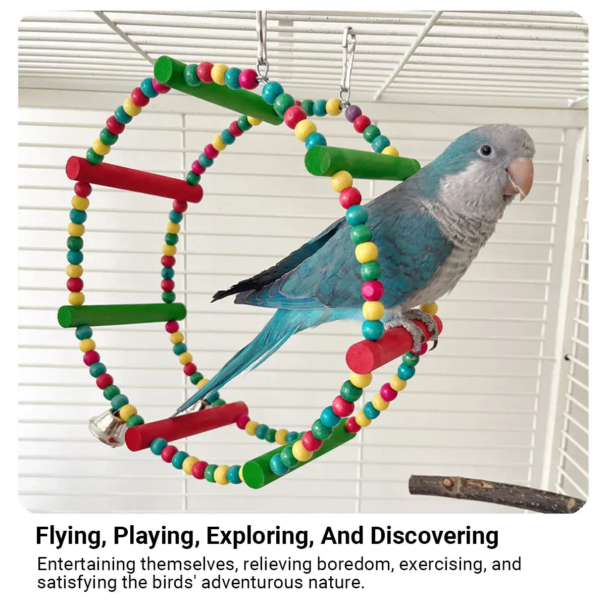 Baby Beaks Rainbow Roundabout 🌈💕 | Colourful Bird Swing & Perch Toy
