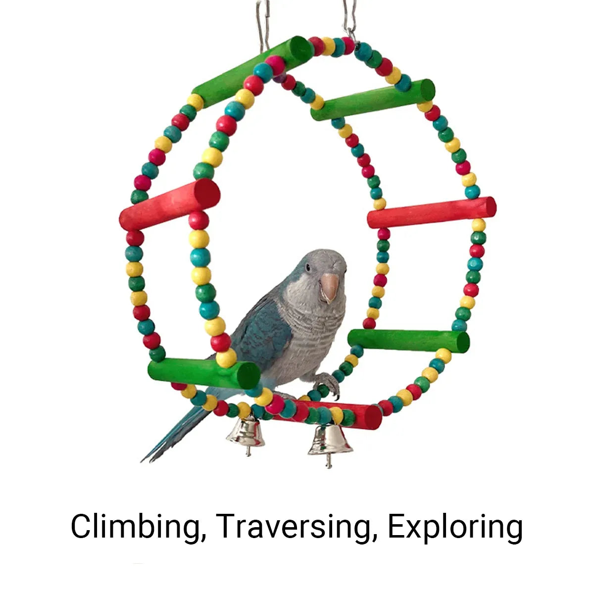 Baby Beaks Rainbow Roundabout 🌈💕 | Colourful Bird Swing & Perch Toy