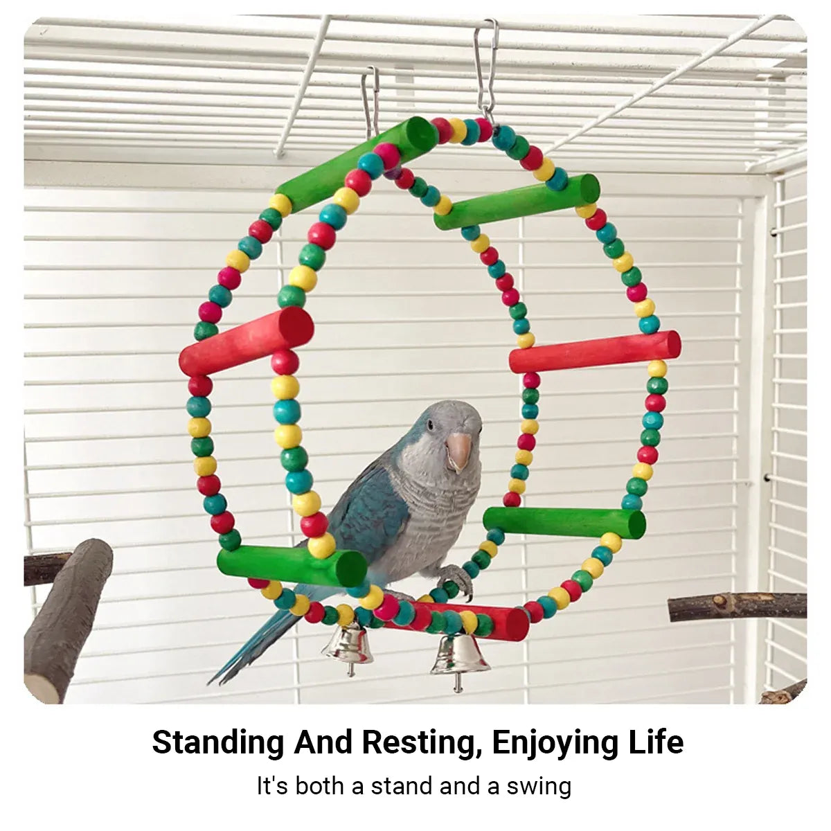 Baby Beaks Rainbow Roundabout 🌈💕 | Colourful Bird Swing & Perch Toy