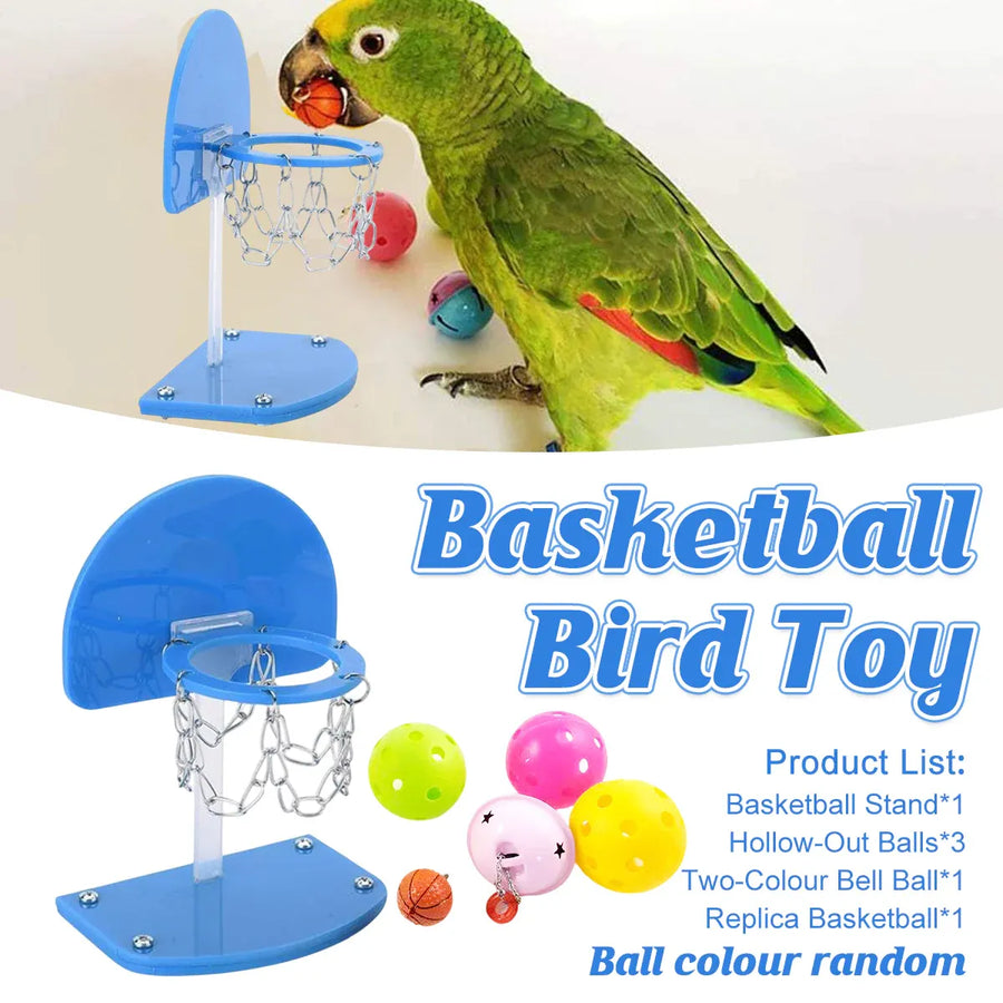 Mini Basketball Hoop for Birds – Interactive Parrot Training & Enrichment Toy 🦜🏀