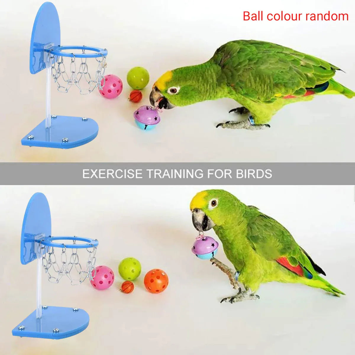 Mini Basketball Hoop for Birds – Interactive Parrot Training & Enrichment Toy 🦜🏀