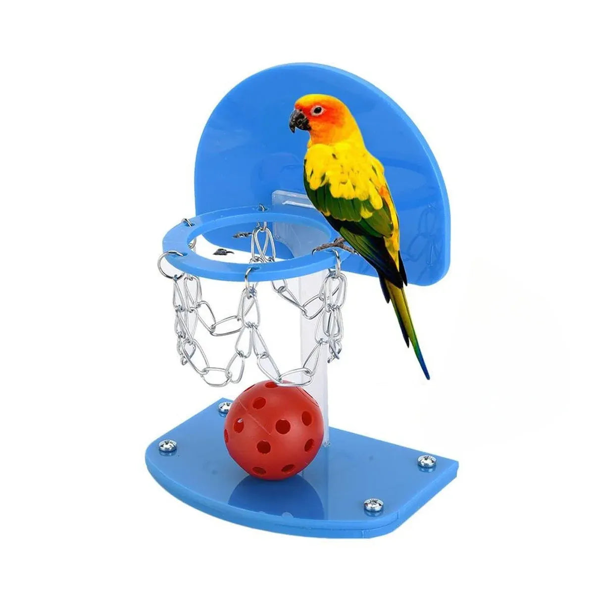 Mini Basketball Hoop for Birds – Interactive Parrot Training & Enrichment Toy 🦜🏀