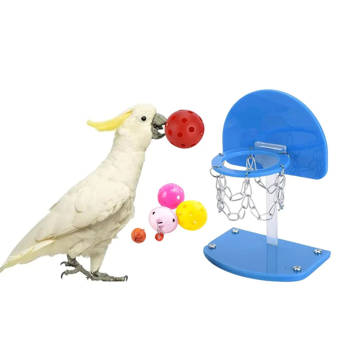 Mini Basketball Hoop for Birds – Interactive Parrot Training & Enrichment Toy 🦜🏀
