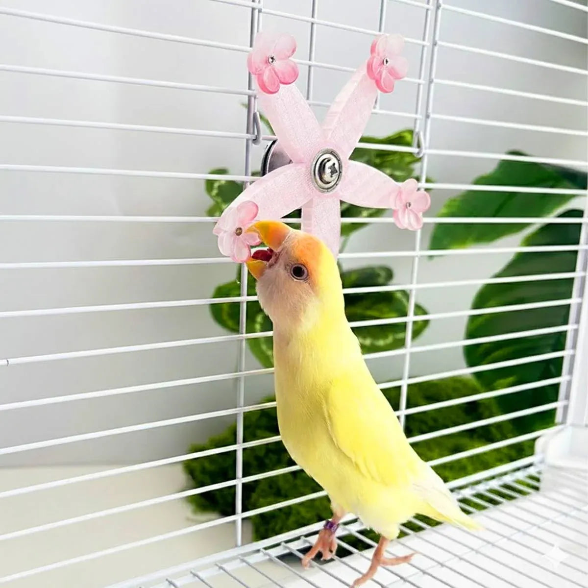 Baby Beaks Pink Petal Spinner 🌸💕 | 360° Interactive Spinning Bird Toy