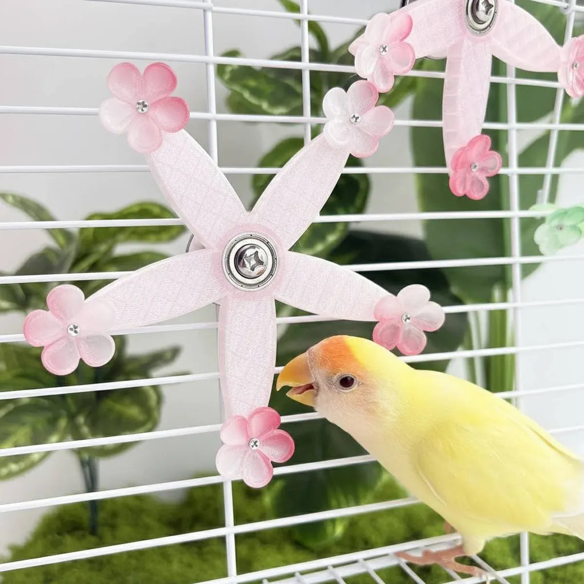 Baby Beaks Pink Petal Spinner 🌸💕 | 360° Interactive Spinning Bird Toy
