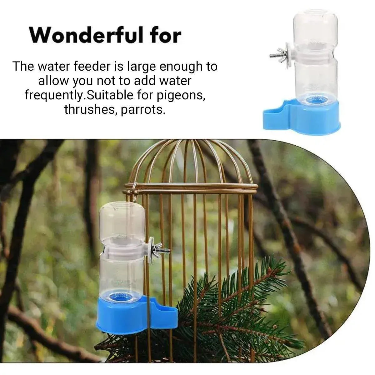 Baby Beaks Little Sips Water Station 🐣💧 | Automatic Bird Water Dispenser