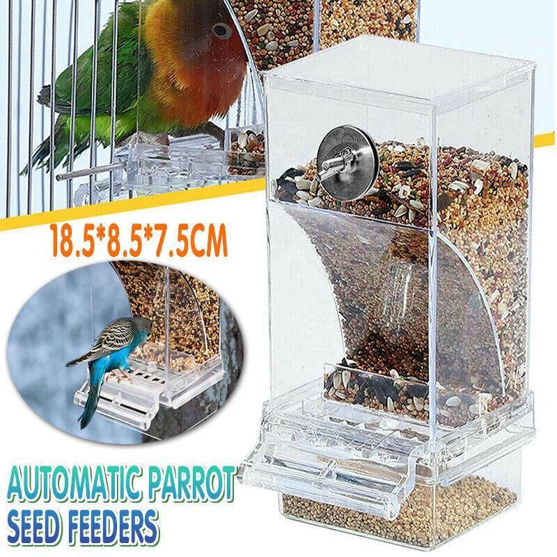 Baby Beaks Tidy Beak Feeder 🐣💕 | No-Mess Automatic Bird Seed Dispenser