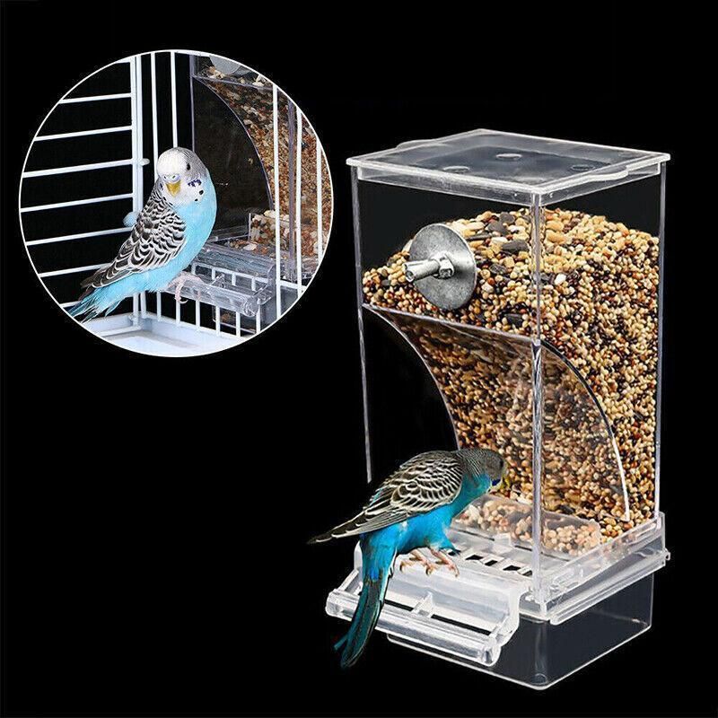 Baby Beaks Tidy Beak Feeder 🐣💕 | No-Mess Automatic Bird Seed Dispenser