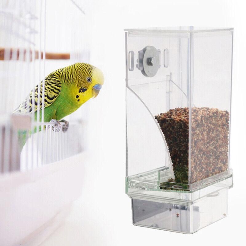 Baby Beaks Tidy Beak Feeder 🐣💕 | No-Mess Automatic Bird Seed Dispenser