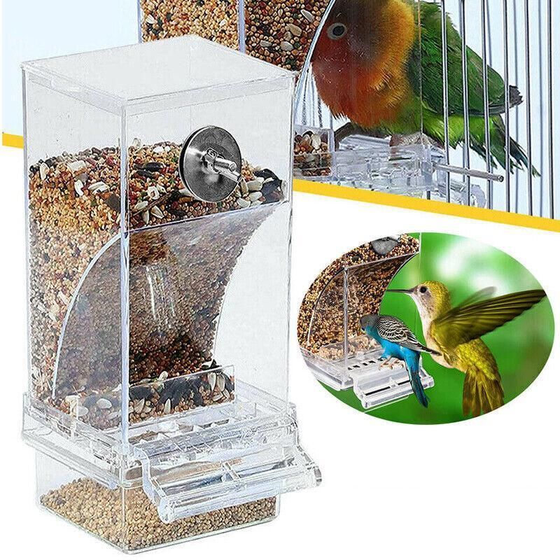 Baby Beaks Tidy Beak Feeder 🐣💕 | No-Mess Automatic Bird Seed Dispenser