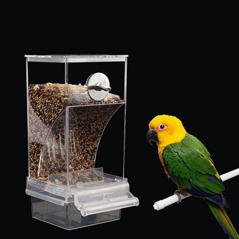 Baby Beaks Tidy Beak Feeder 🐣💕 | No-Mess Automatic Bird Seed Dispenser