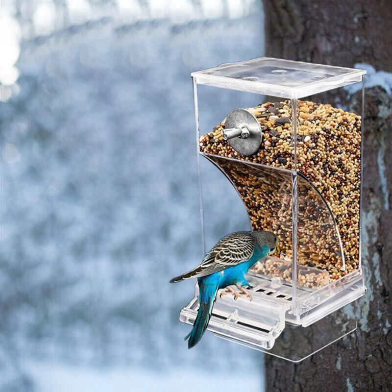Baby Beaks Tidy Beak Feeder 🐣💕 | No-Mess Automatic Bird Seed Dispenser