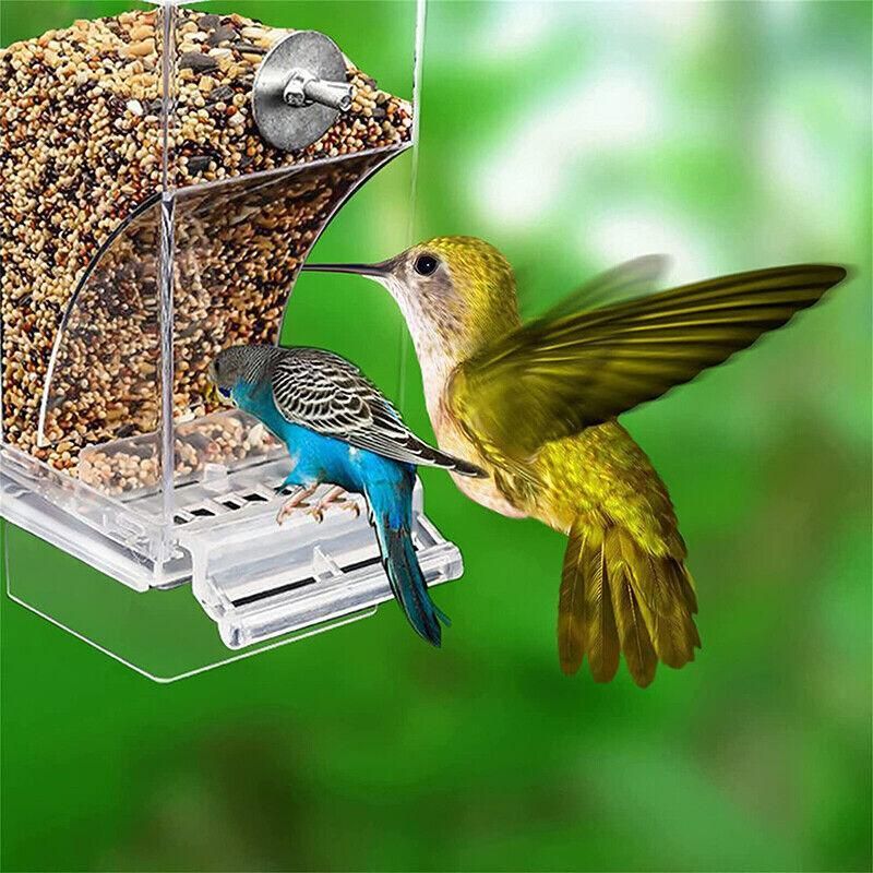 Baby Beaks Tidy Beak Feeder 🐣💕 | No-Mess Automatic Bird Seed Dispenser