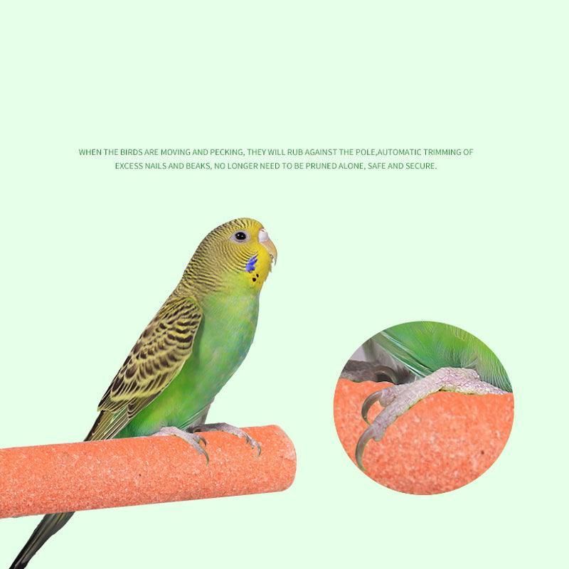 5 Sizes Colorful Pet Bird Cage Perches Stand Platform Chew Toy For Parrot Bites - 30CM