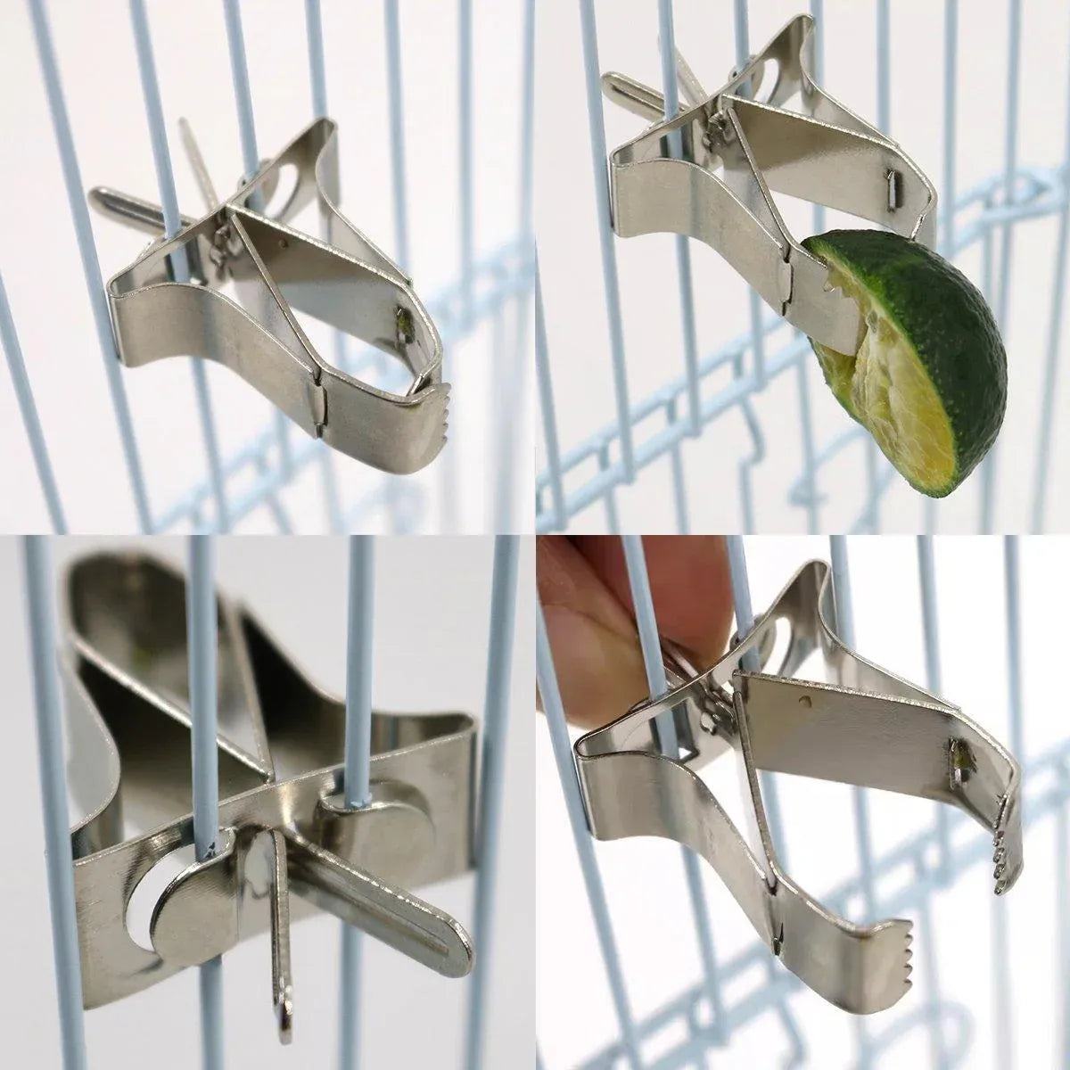 Birdie Fruit & Veggie Feeding Clips – Stainless Steel Cage Holders (6 Pack) 🐣💕