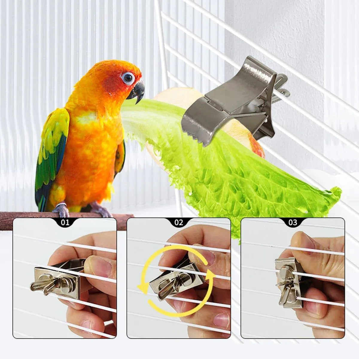 Birdie Fruit & Veggie Feeding Clips – Stainless Steel Cage Holders (6 Pack) 🐣💕