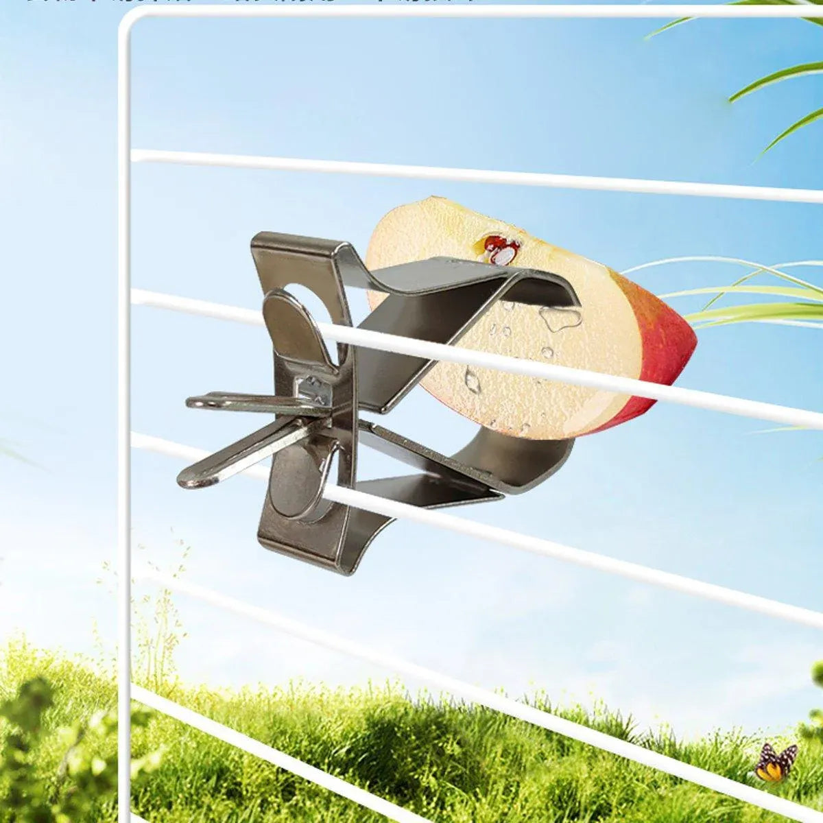 Birdie Fruit & Veggie Feeding Clips – Stainless Steel Cage Holders (6 Pack) 🐣💕