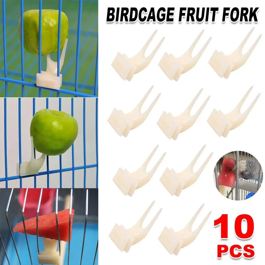 Birdie Fruit & Veggie Holders – Cage Feeding Forks (10 Pack) 🐣💕