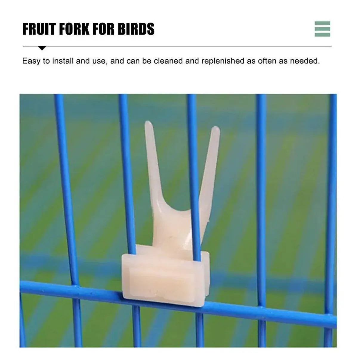 Birdie Fruit & Veggie Holders – Cage Feeding Forks (10 Pack) 🐣💕