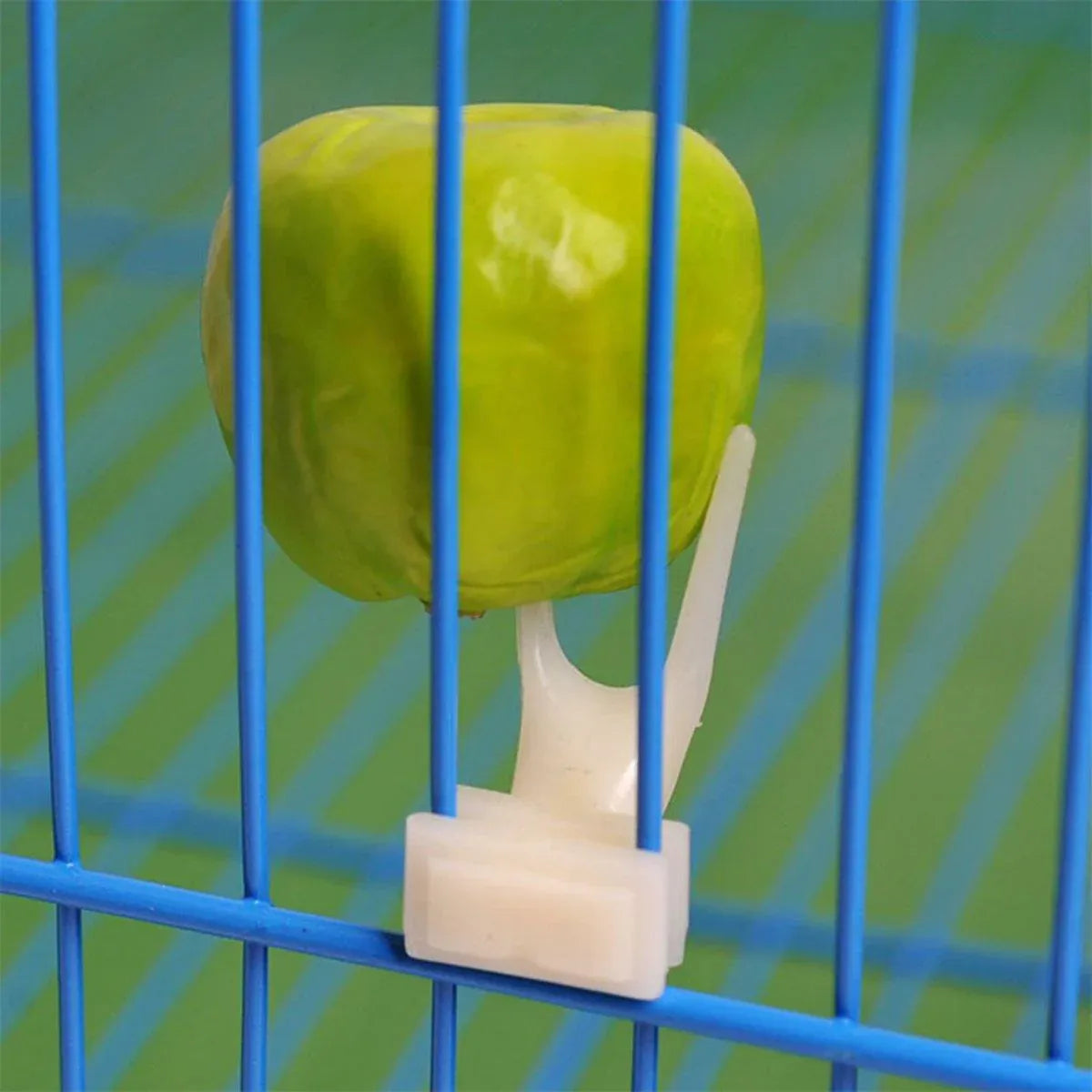 Birdie Fruit & Veggie Holders – Cage Feeding Forks (10 Pack) 🐣💕