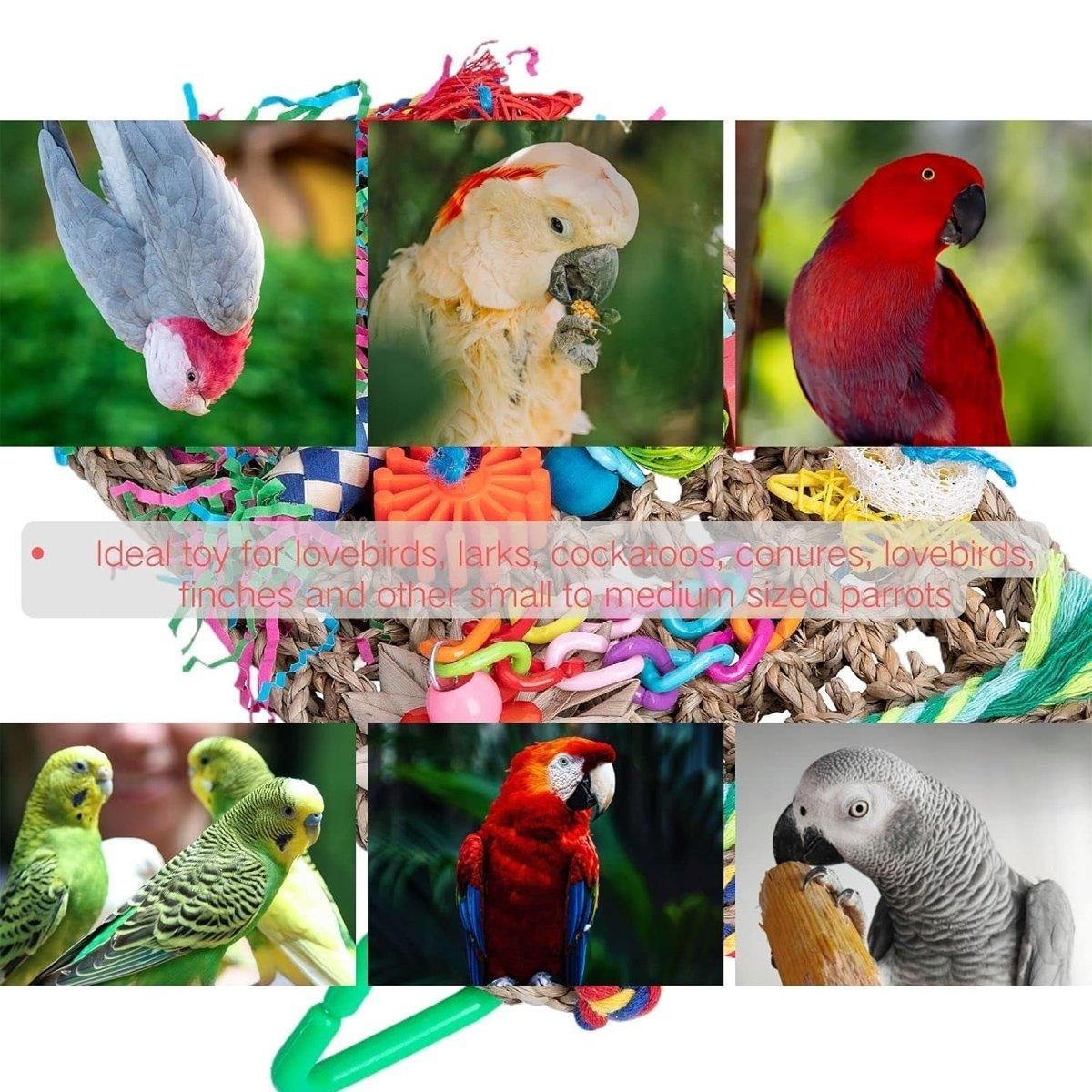 Colourful Bird Climbing Net & Chew Toy – Woven Grass Parrot Enrichment 🦜🌈