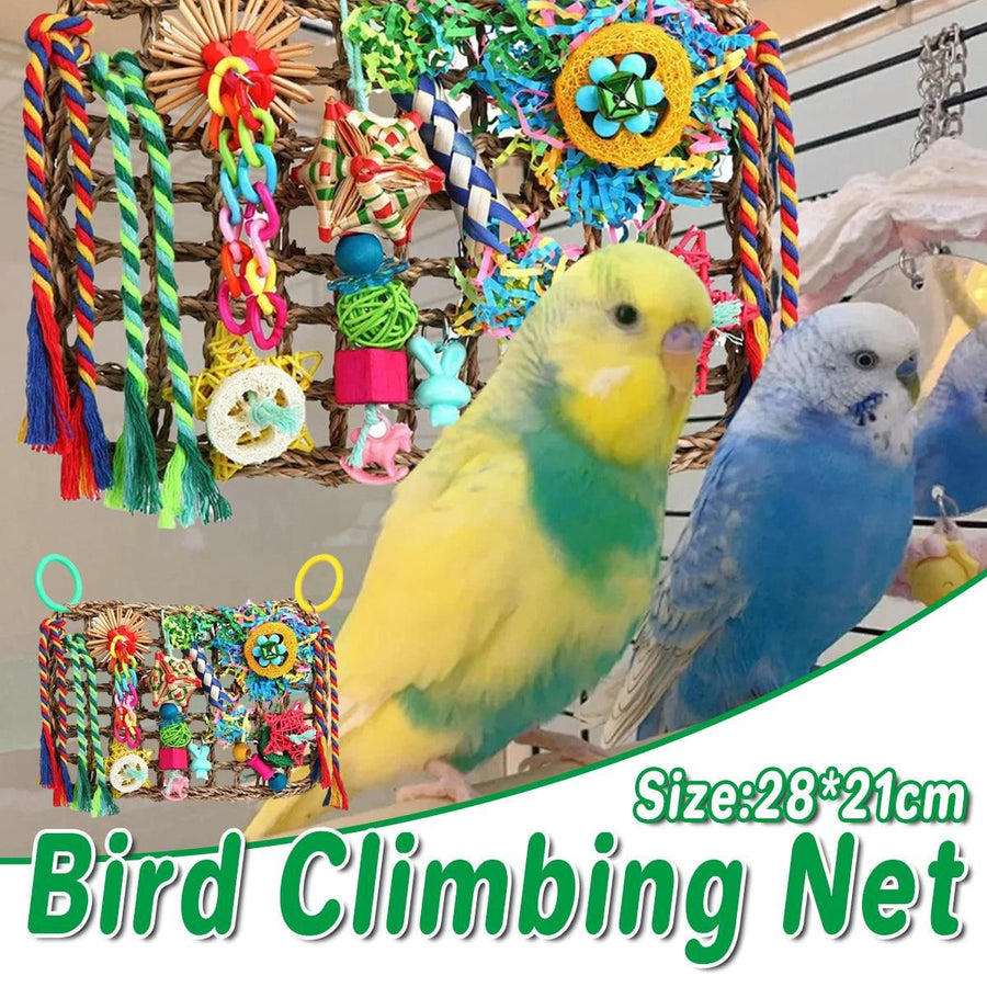 Rainbow Birdie Climbing Net – Colourful Hanging Enrichment Playground 🌈🐣💕