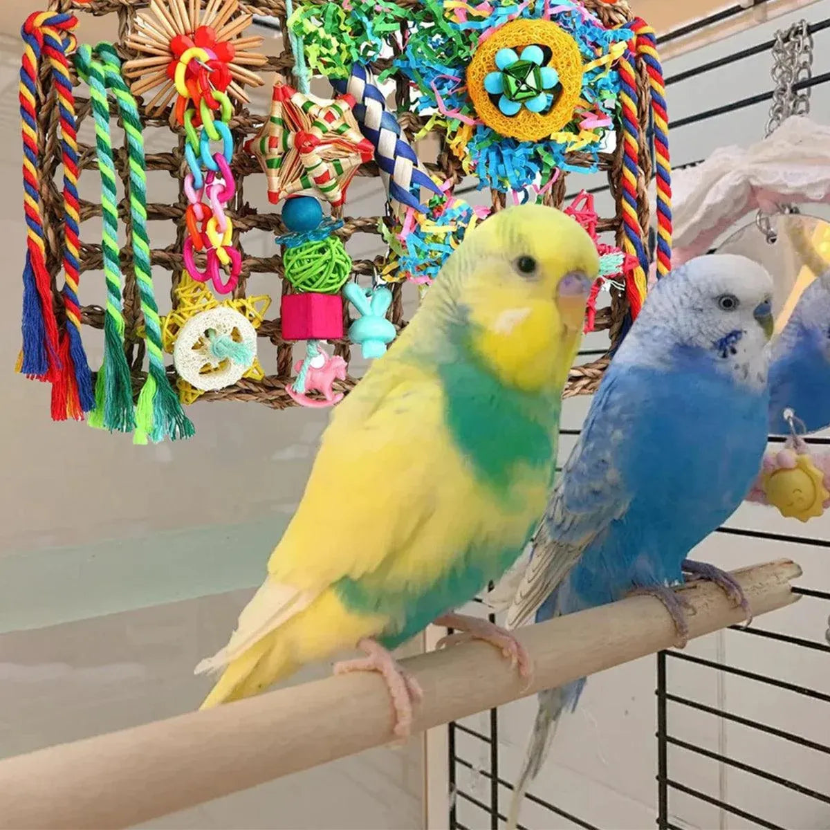 Rainbow Birdie Climbing Net – Colourful Hanging Enrichment Playground 🌈🐣💕