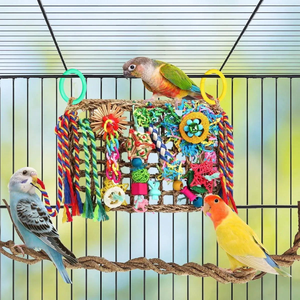 Rainbow Birdie Climbing Net – Colourful Hanging Enrichment Playground 🌈🐣💕