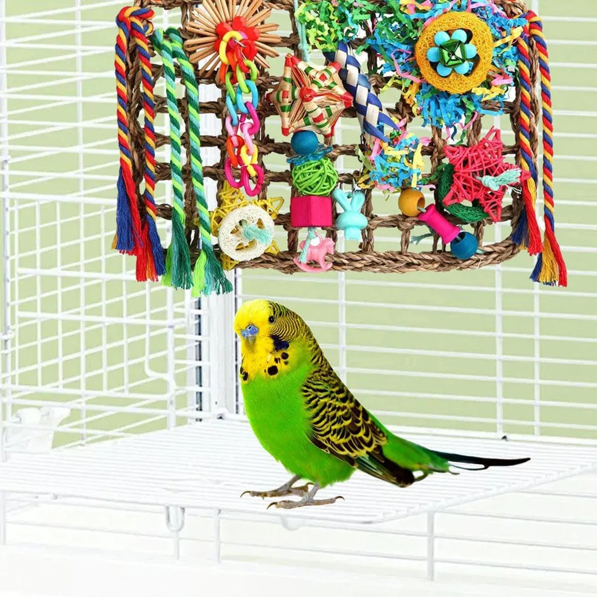 Rainbow Birdie Climbing Net – Colourful Hanging Enrichment Playground 🌈🐣💕