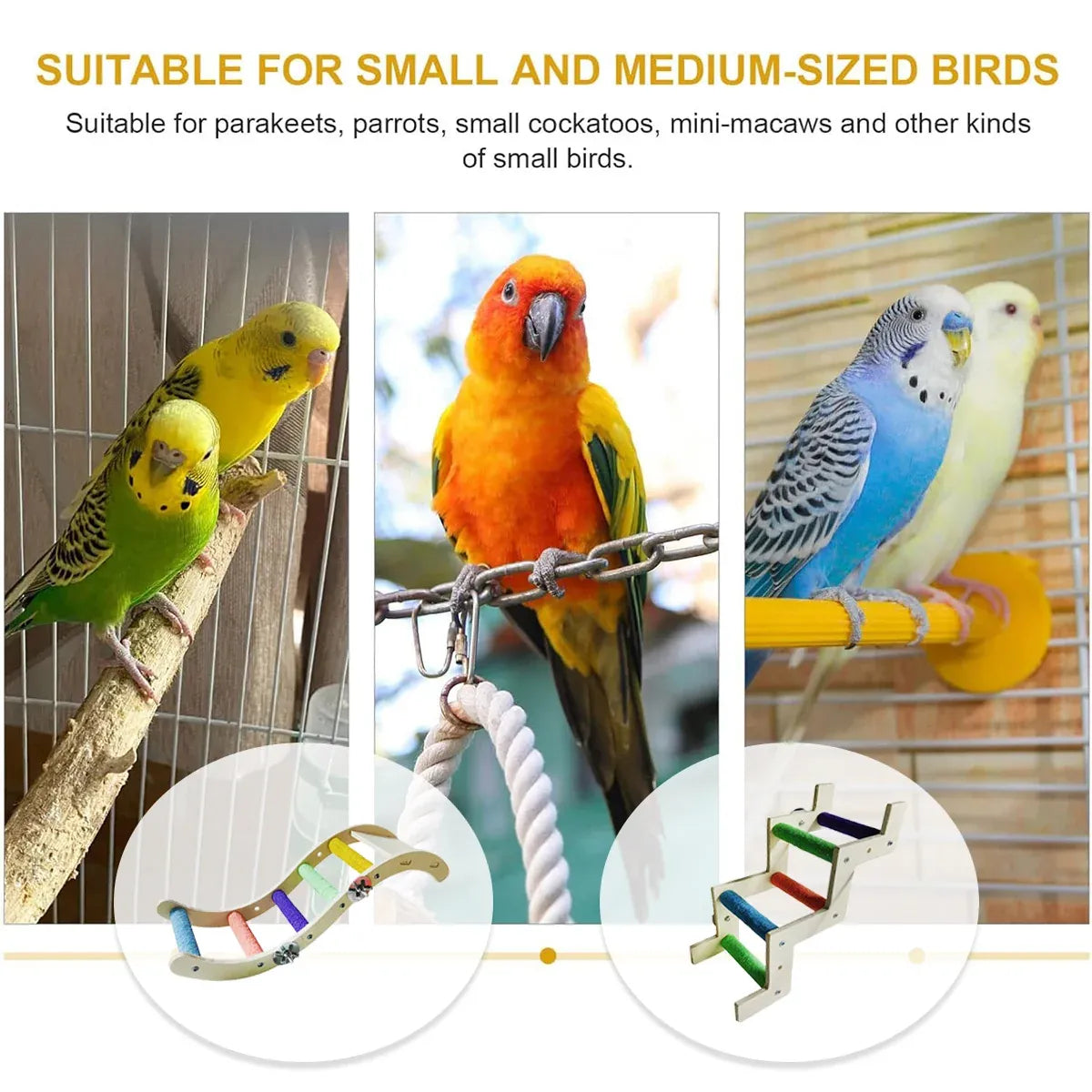 Rainbow Birdie Wooden Climbing Ladder – Hanging Adventure Playground 🐣💕