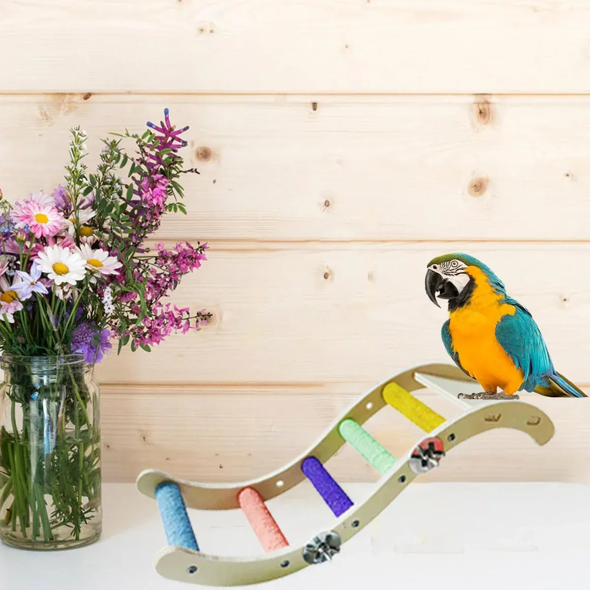 Rainbow Birdie Wooden Climbing Ladder – Hanging Adventure Playground 🐣💕