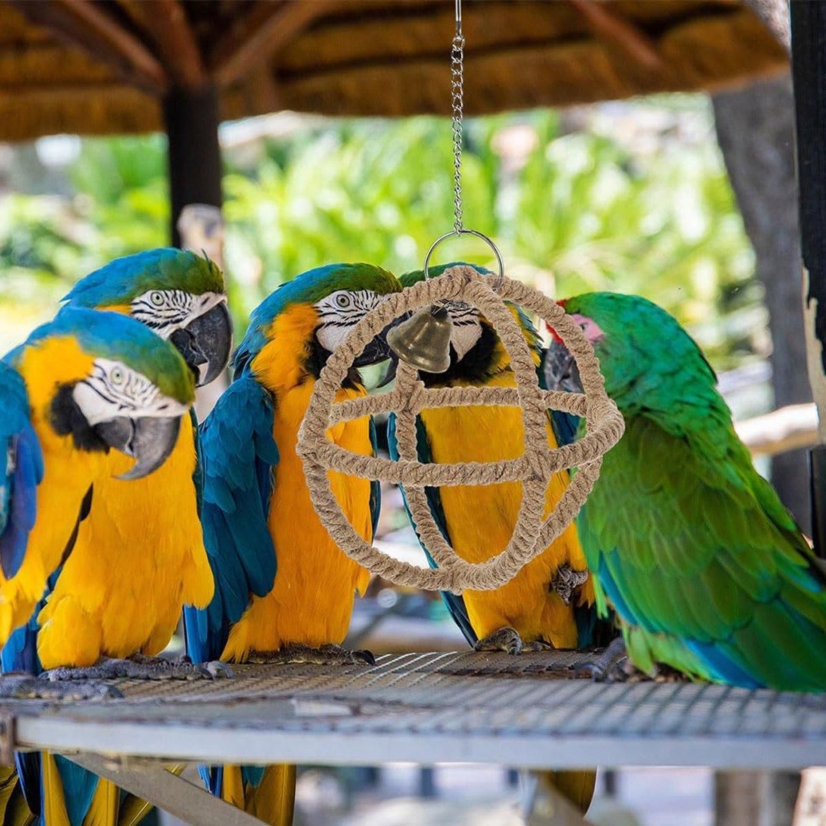 Parrot Chew & Swing Toy – Hanging Bird Enrichment Hoop 🦜🌈