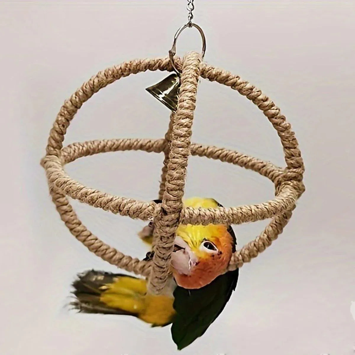 Parrot Chew & Swing Toy – Hanging Bird Enrichment Hoop 🦜🌈