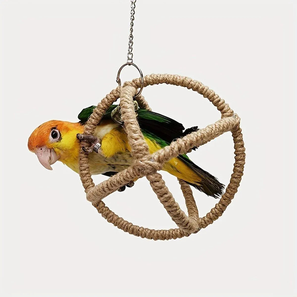 Parrot Chew & Swing Toy – Hanging Bird Enrichment Hoop 🦜🌈
