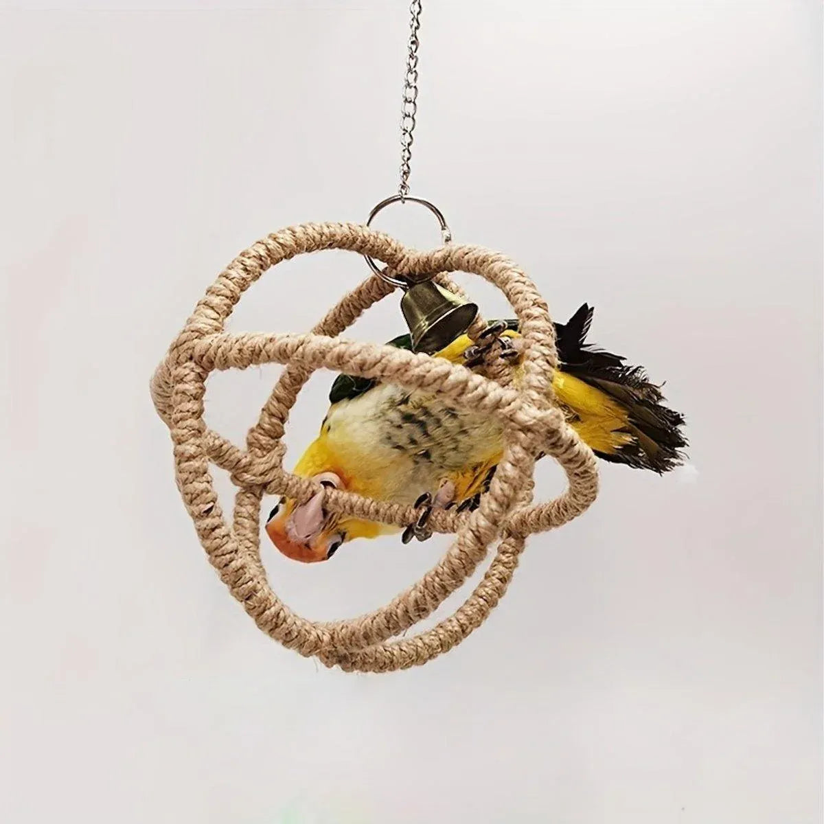Parrot Chew & Swing Toy – Hanging Bird Enrichment Hoop 🦜🌈
