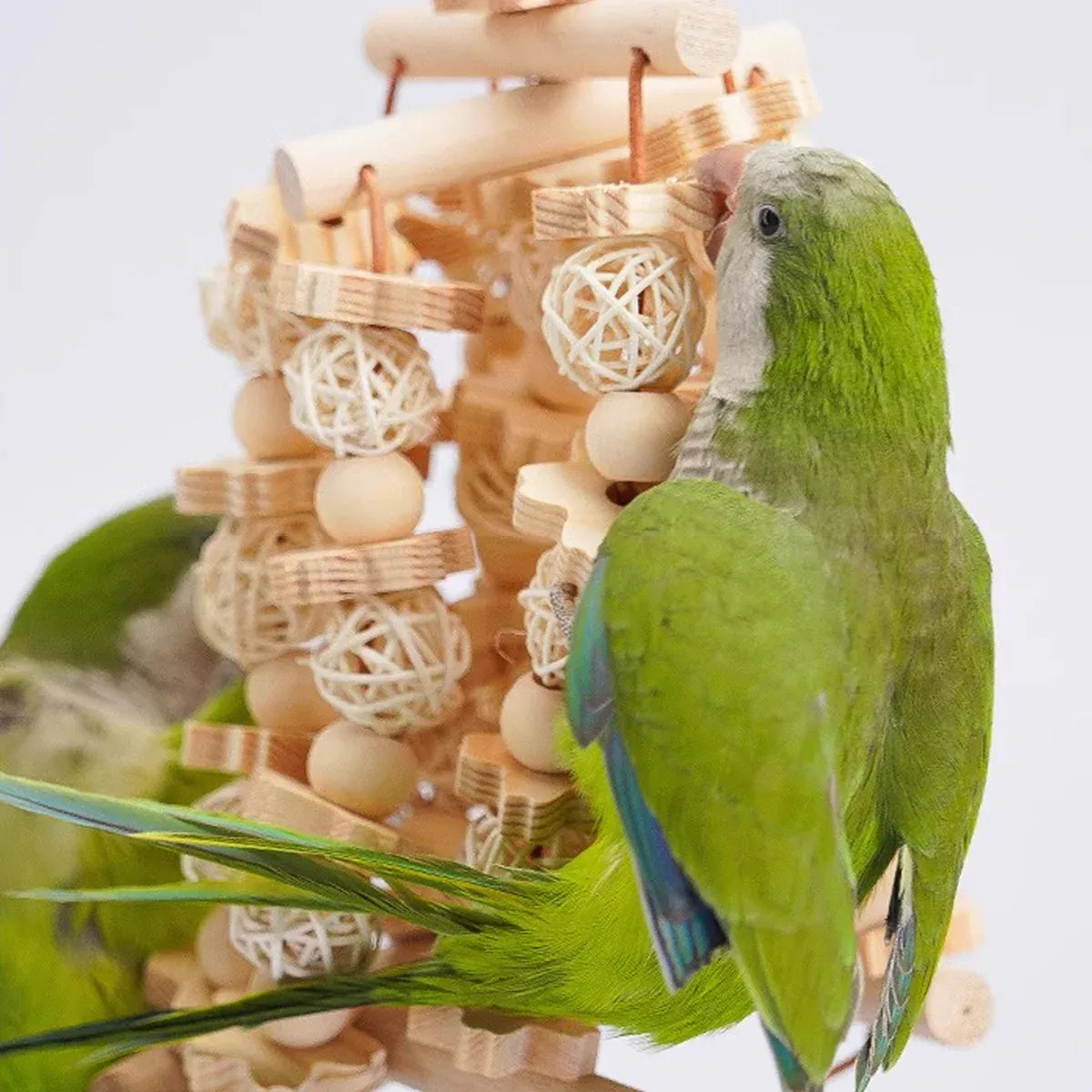 Natural Rattan Birdie Chew Toy – Hanging Shredding & Enrichment Fun 🐣💕