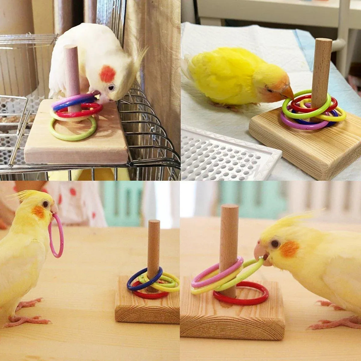 Interactive Bird Ring Stacking Toy – Parrot Training & Puzzle Enrichment Set 🦜🌈