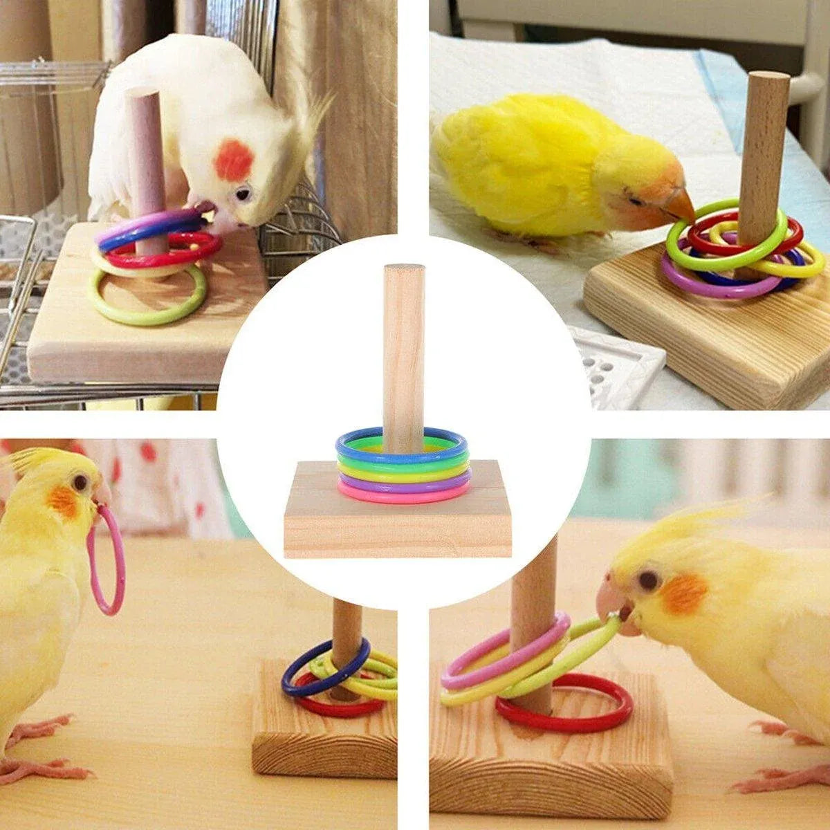 Interactive Bird Ring Stacking Toy – Parrot Training & Puzzle Enrichment Set 🦜🌈