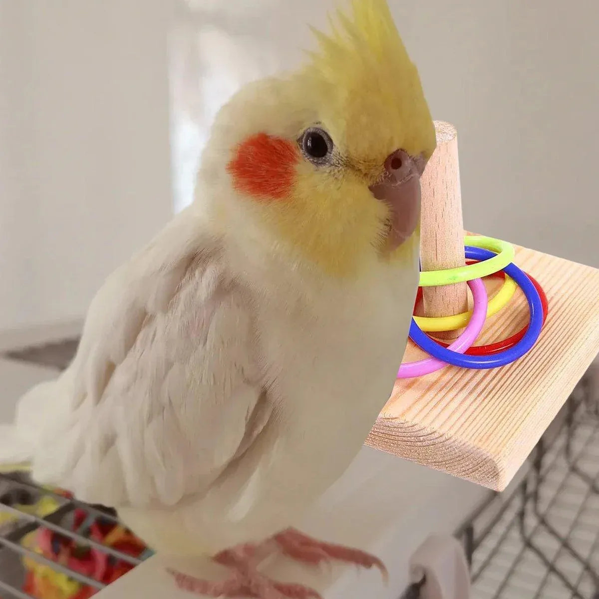 Interactive Bird Ring Stacking Toy – Parrot Training & Puzzle Enrichment Set 🦜🌈