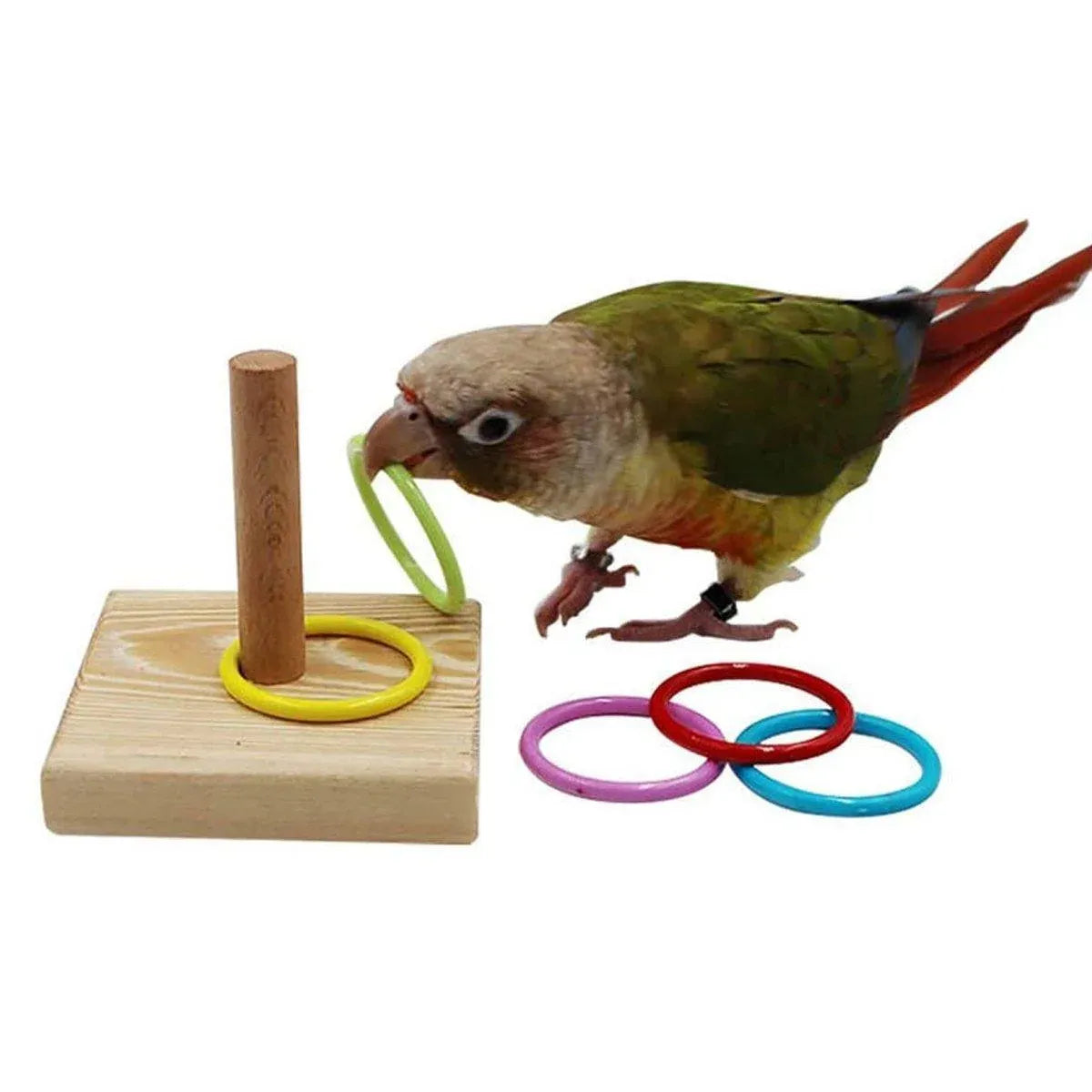 Interactive Bird Ring Stacking Toy – Parrot Training & Puzzle Enrichment Set 🦜🌈